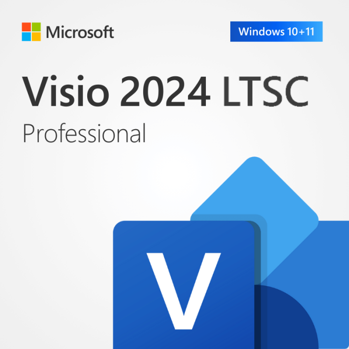 Visio Professional 2024 - LTSC 1 PC